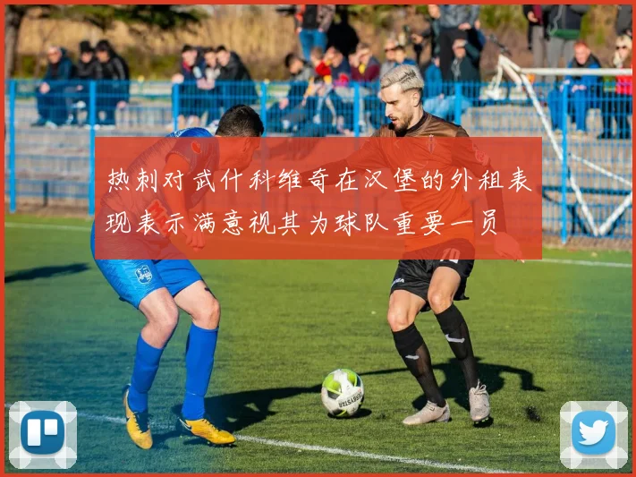 热刺对武什科维奇在汉堡的外租表现表示满意视其为球队重要一员