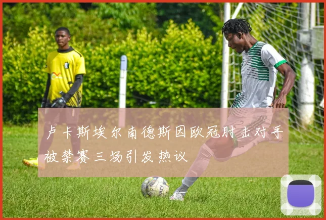 卢卡斯埃尔南德斯因欧冠肘击对手被禁赛三场引发热议